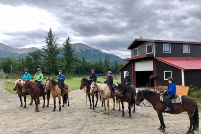1.5 Hour Trail Ride on a working ranch in the Alaskan Mountains - Meeting your horse and wrangler