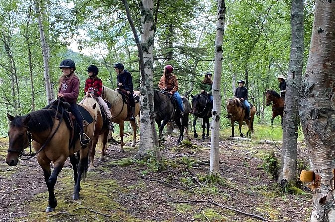 1.5 Hour Trail Ride on a working ranch in the Alaskan Mountains - Reaching the Red Mountain foothills