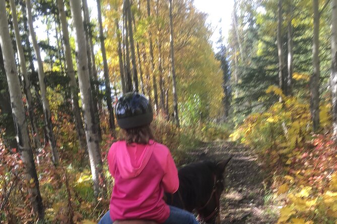 1.5 Hour Trail Ride on a working ranch in the Alaskan Mountains - Who will enjoy this ride most?