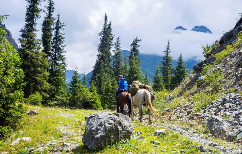 1 Day Horse Riding Adventure in Borjomi Mountains - Key points about the Borjomi horseback trip