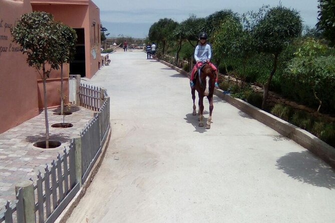 1 day horseback ride with lunch - Dunes, forest, and a small fishing village