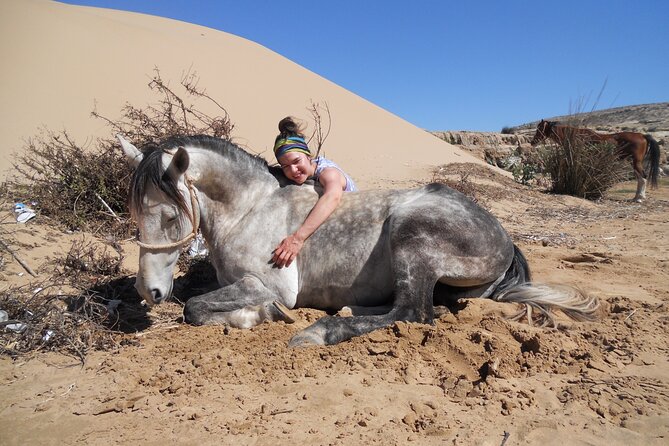 1 day horseback ride with lunch - Lunch and the midday pause