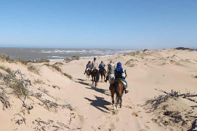 1 day horseback ride with lunch - What the $153.14 price really covers