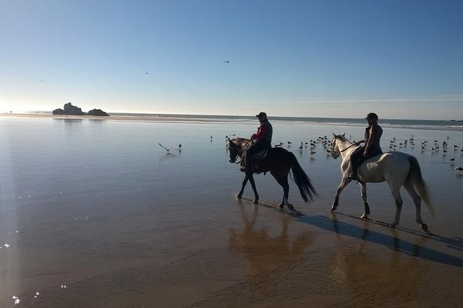 1 day horseback ride with lunch - How difficult is the ride?