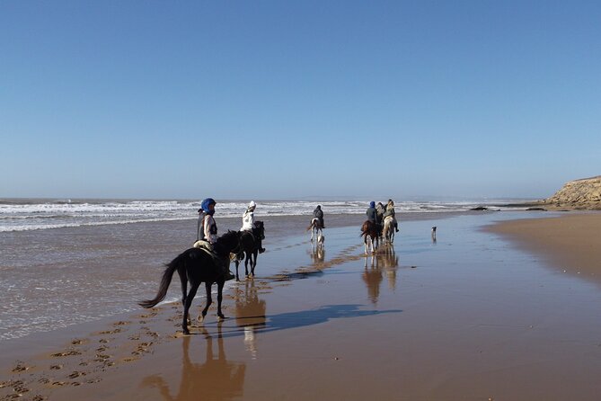 1 day horseback ride with lunch - Practical details before you book