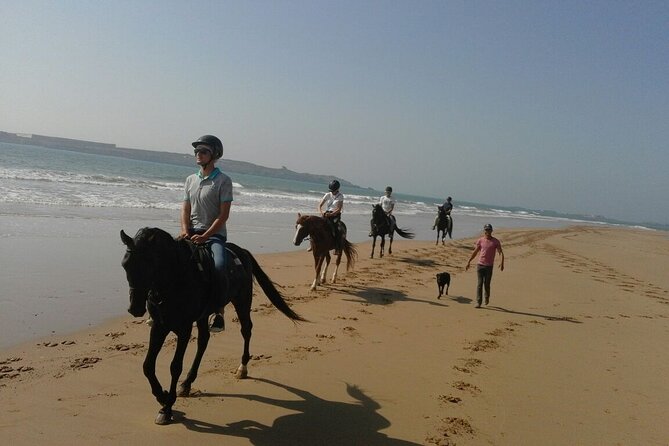 1 day horseback ride with lunch - Riding the beach near Essaouira