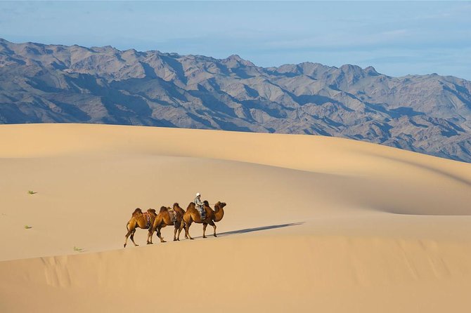 1 Day Semi-Gobi Tour with Lunch And Enjoying Camel or Horseback - Lunch in the middle of a long day