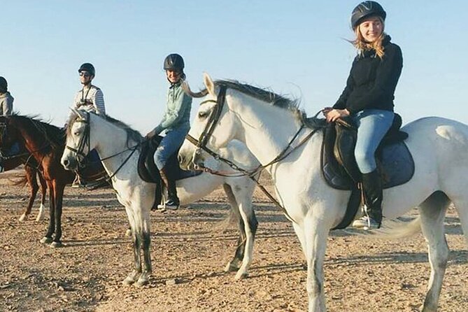 1 Hour Guided Horse Riding Activity in Sharm El Sheikh - Meeting the horses and handlers