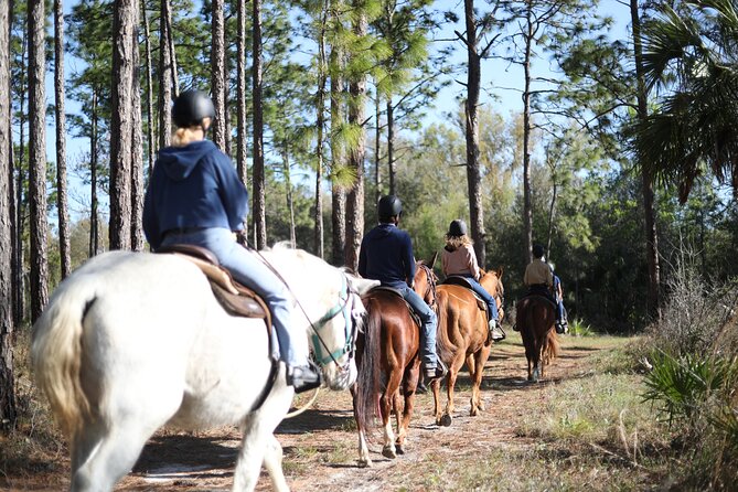 1 Hour Guided Horseback Trail Ride Rock Springs Run State Reserve - Leaving Orlando for Rock Springs Run