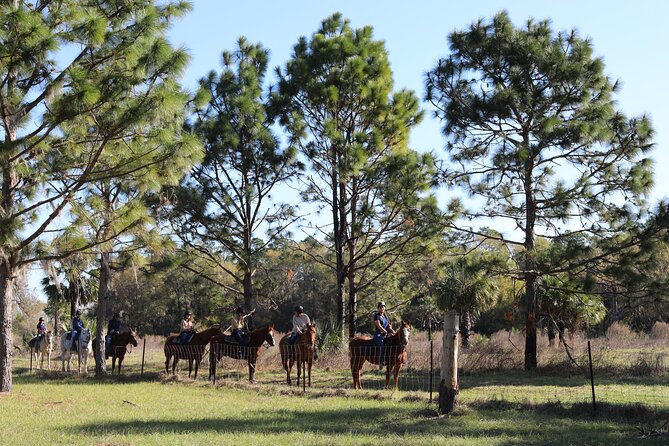 1 Hour Guided Horseback Trail Ride Rock Springs Run State Reserve - Sand pine scrub and pine flatwoods