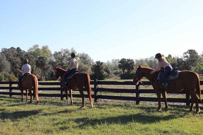 1 Hour Guided Horseback Trail Ride Rock Springs Run State Reserve - Wildlife along the trail