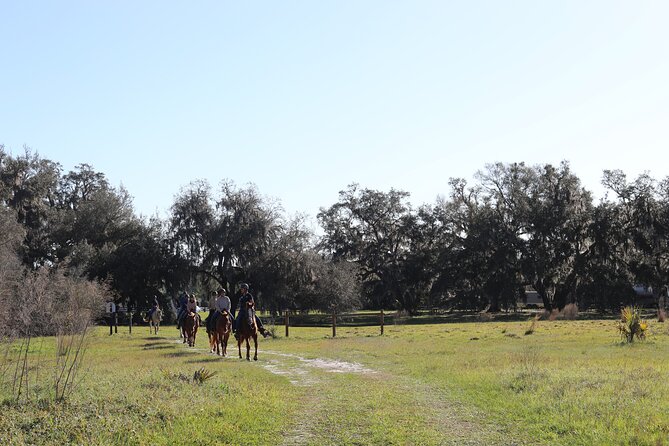 1 Hour Guided Horseback Trail Ride Rock Springs Run State Reserve - The historic corridor and lost town of Ethel