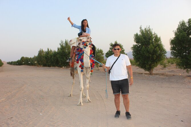 1 Hour horse Ride and Jeep adventure with stargazing -Hurghada - Dinner in the desert after dark