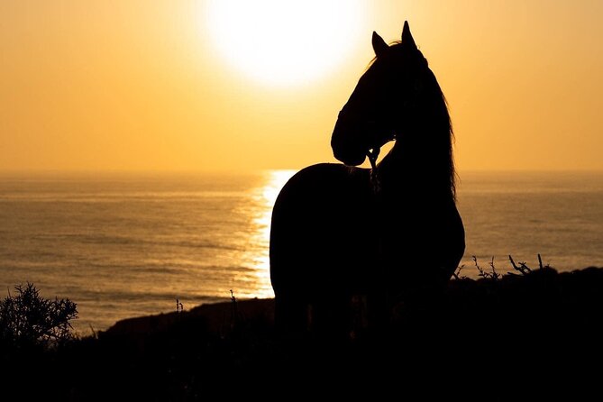 1 hour horse ride on the beach of essaouira - How the guides affect the experience