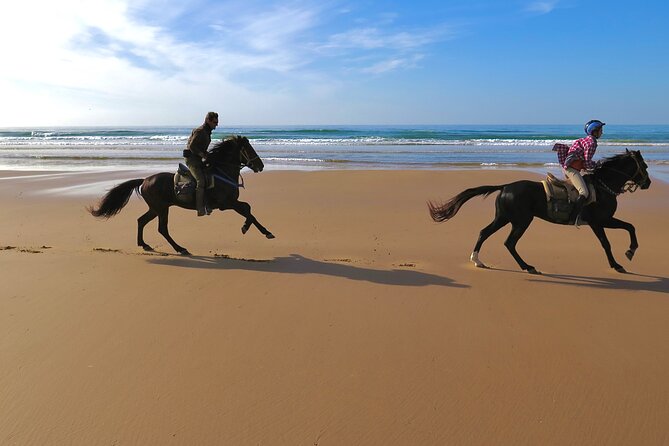 1 hour horse ride on the beach of essaouira - Who should book this Essaouira ride?