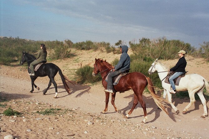 1 hour horse ride on the beach of essaouira - Meeting the horses and getting ready