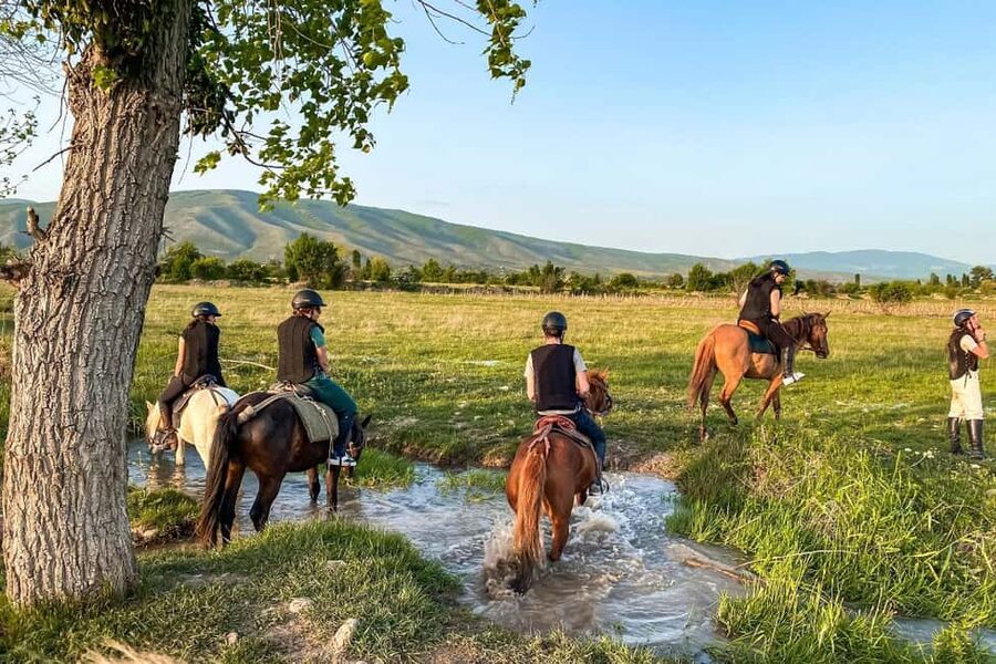 1-Hour Horse Riding Tour at Palomino Ranch Near Tbilisi - Key Points About the Palomino Ranch Ride