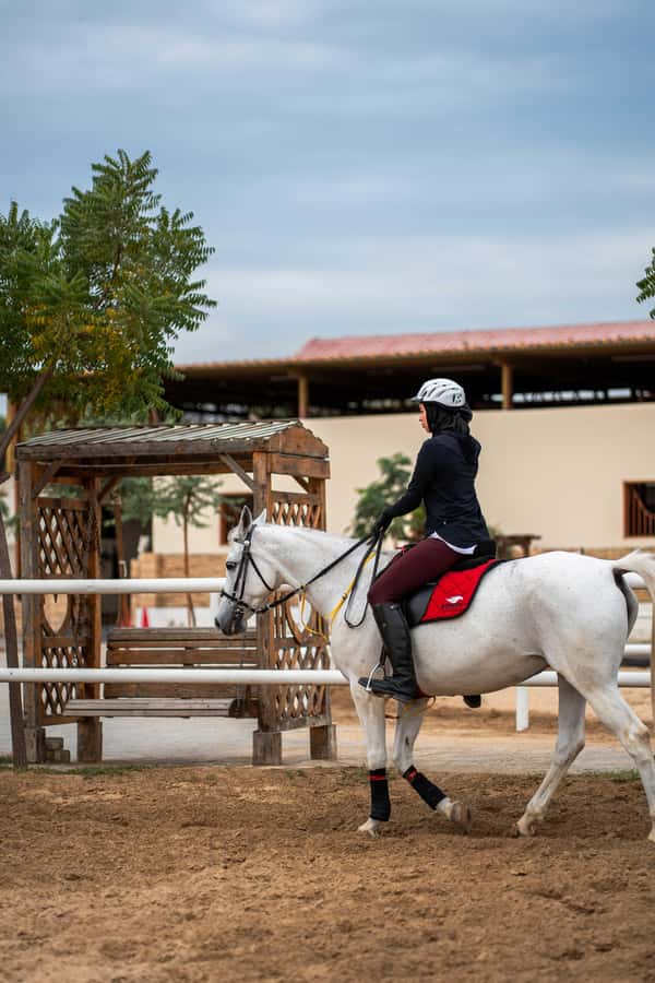 1 Hour Horseback Dubai Desert Park Ride - Starting among the ghaf trees