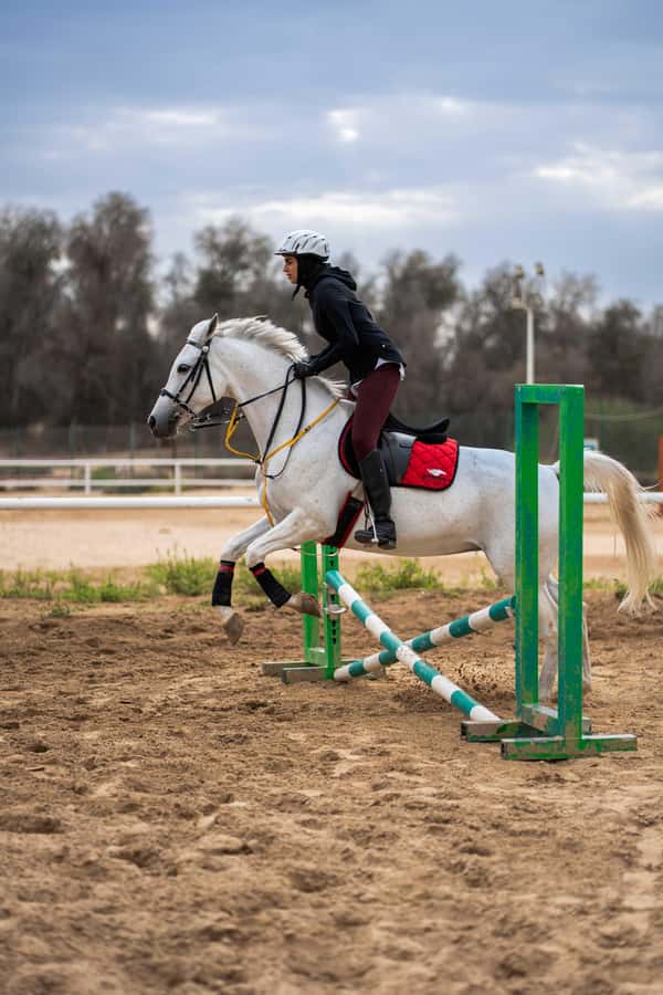 1 Hour Horseback Dubai Desert Park Ride - Watching for desert foxes and park wildlife