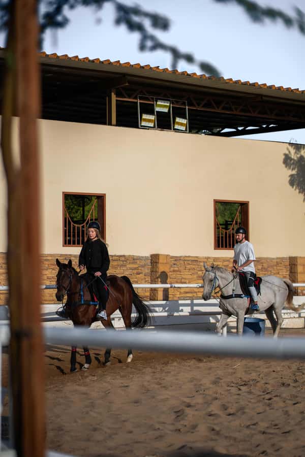 1 Hour Horseback Dubai Desert Park Ride - My verdict on this Mushrif Park horse ride
