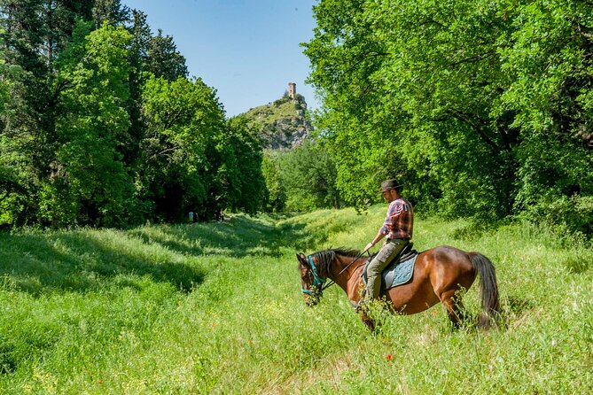 1 hour horseback ride in Valgraziosa Pisa - Returning to the equestrian center