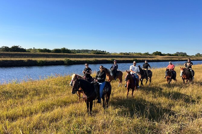 1 hour of ATV + 1 hour horse ride-- free videos and pictures - The ATV hour: dirt, motion, and open farm trails