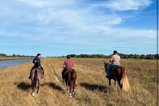 1 hour of ATV + 1 hour horse ride-- free videos and pictures - Photos and videos are more useful than they sound
