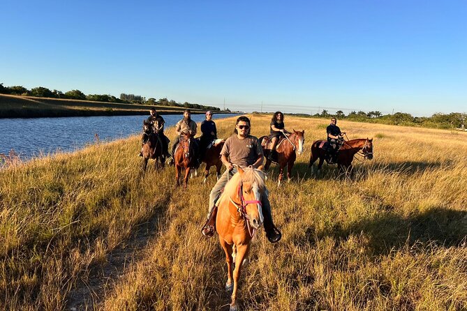 1 hour of ATV + 1 hour horse ride-- free videos and pictures - Arriving at 15515 SW 177th Avenue