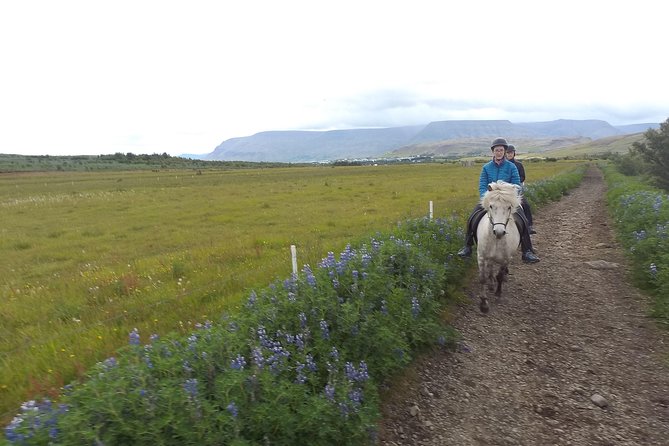 1+ hour Private Horse riding tour from Reykjavík/Mosfellsbær - Why this ride feels different from a standard trail outing