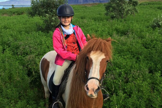 1+ hour Private Horse riding tour from Reykjavík/Mosfellsbær - Riding toward Mt. Úlfarsfell