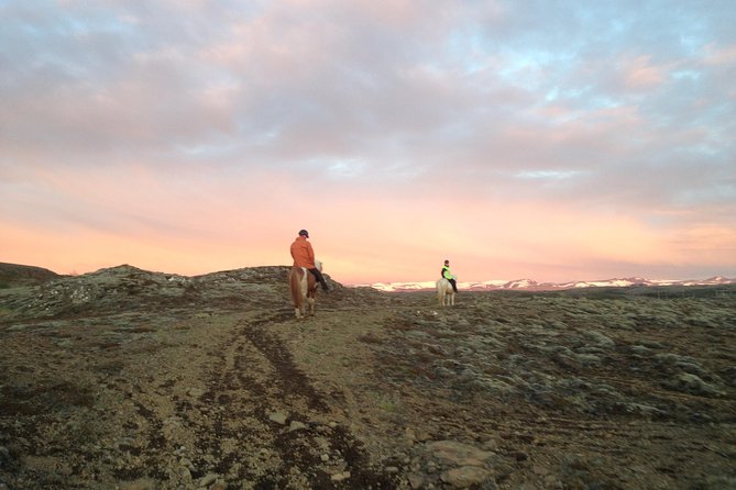 1+ hour Private Horse riding tour from Reykjavík/Mosfellsbær - Understanding the Icelandic tölt