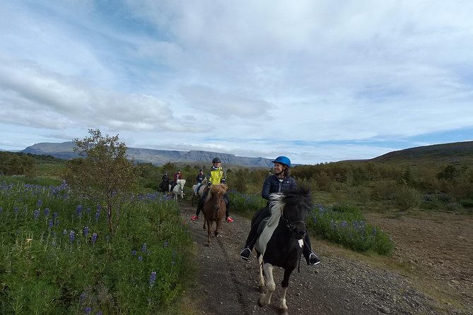 1+ hour Private Horse riding tour from Reykjavík/Mosfellsbær - Arriving at the stable in Mosfellsbær