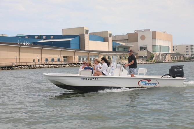 1-Hour Private Party Assateague Island Pony Cruise in Ocean City - Key points at a glance