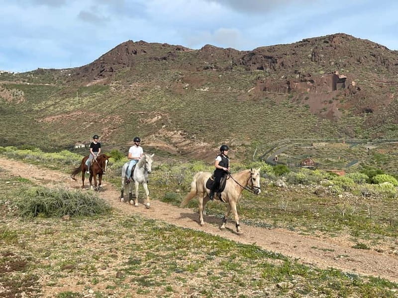 1 hour relaxing horse riding tour in Gran Canaria - Key Points Before You Book