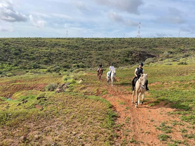 1 hour relaxing horse riding tour in Gran Canaria - Arriving at the Riding Center