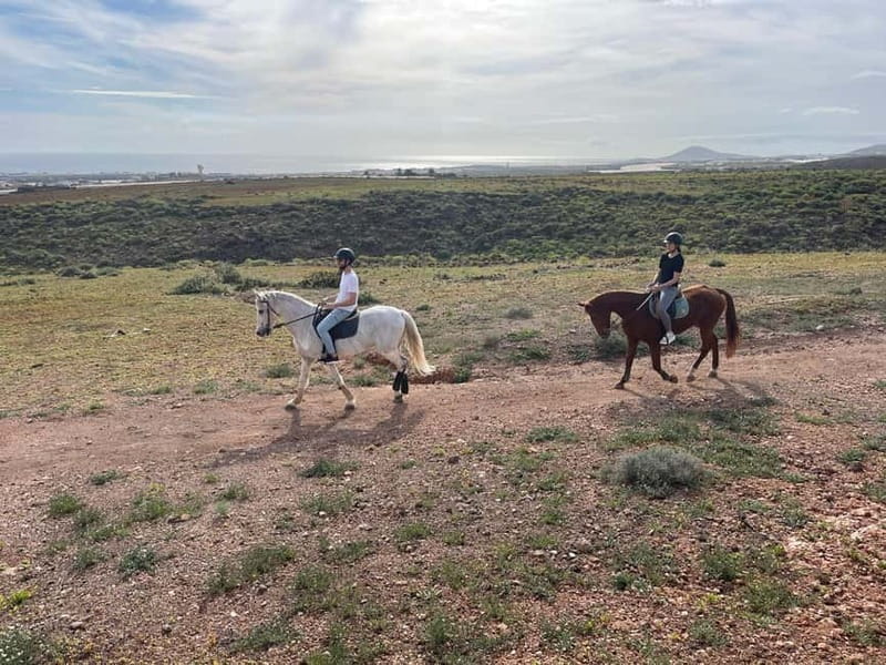 1 hour relaxing horse riding tour in Gran Canaria - Heading Into Gran Canaria’s Countryside