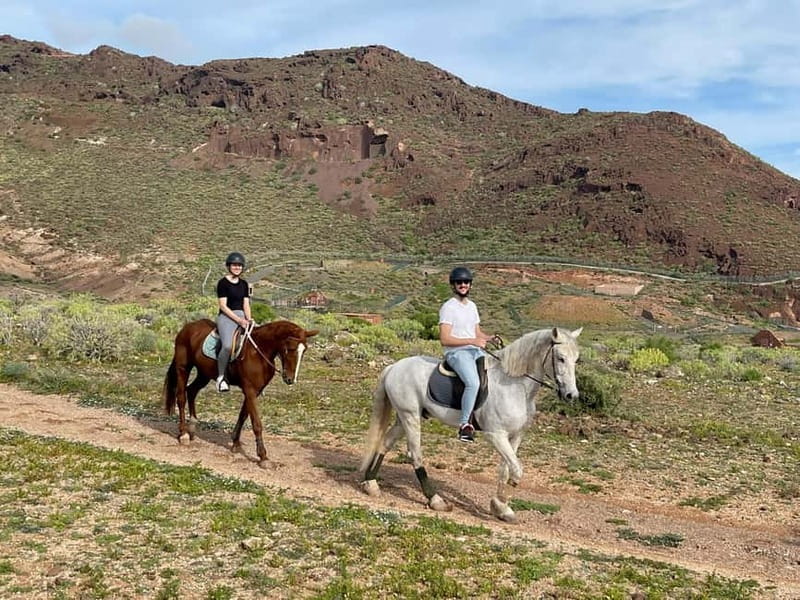1 hour relaxing horse riding tour in Gran Canaria - A Small-Group Ride With Time for Photos