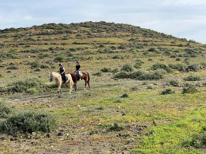 1 hour relaxing horse riding tour in Gran Canaria - Returning the Horses and Finishing Up