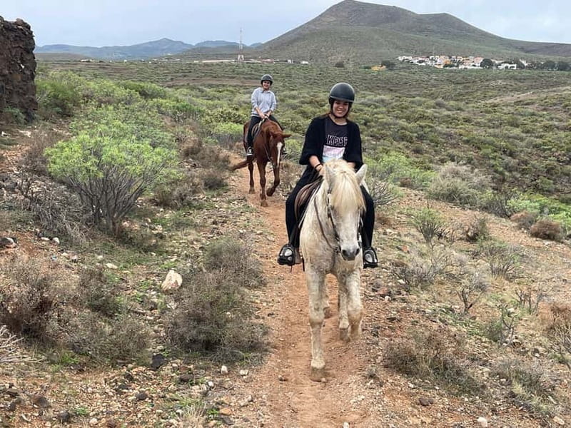 1 hour relaxing horse riding tour in Gran Canaria - Is $41 Good Value?