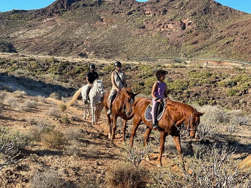 1 hour relaxing horse riding tour in Gran Canaria - Who Should Book This Ride?