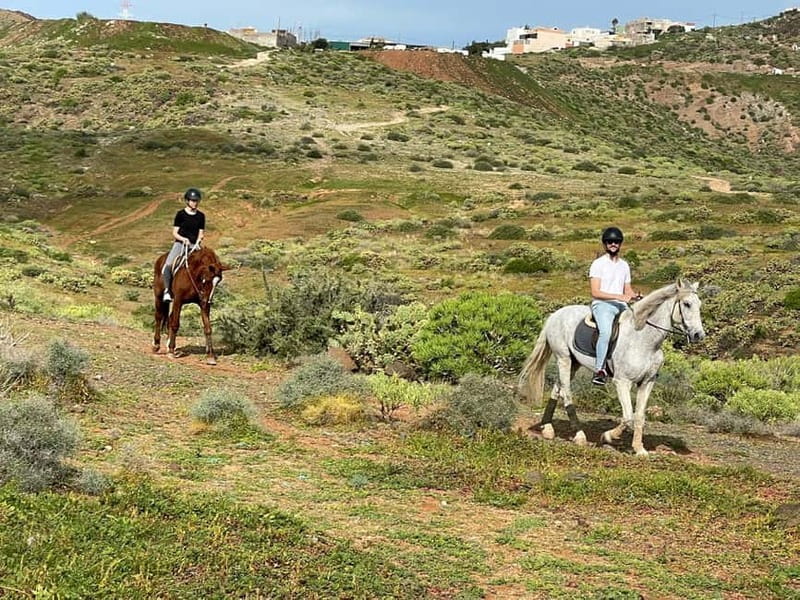 1 hour relaxing horse riding tour in Gran Canaria - What the Strongest Feedback Tells You