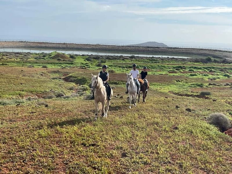 1 hour relaxing horse riding tour in Gran Canaria - Helmets, Horses, and the First Riding Lesson