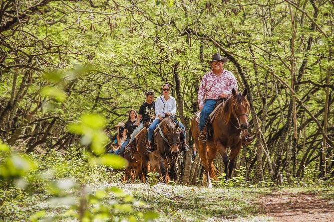 1 Hour Scenic Horseback Ride - Key things to know before you book