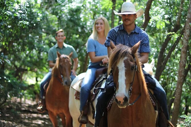1 Hour Scenic Horseback Ride - The one-hour route through pasture and forest