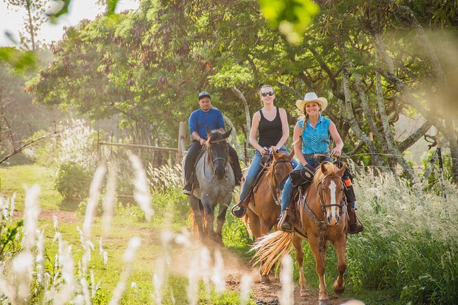 1 Hour Scenic Horseback Ride - Rules, weather, and booking details