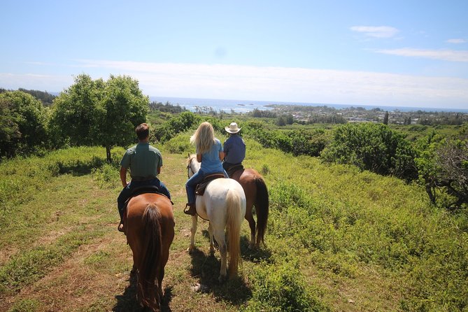 1 Hour Scenic Horseback Ride - What happens before you mount