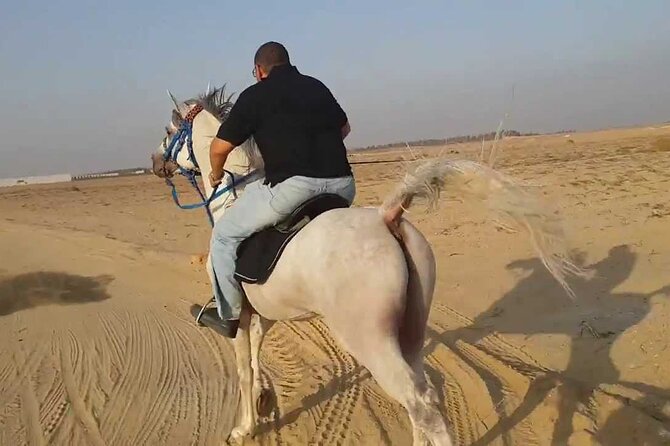 1 Hour Turkish Bath & 1 Hour Horseback Riding - Sharm El Sheikh - Who will enjoy this most?