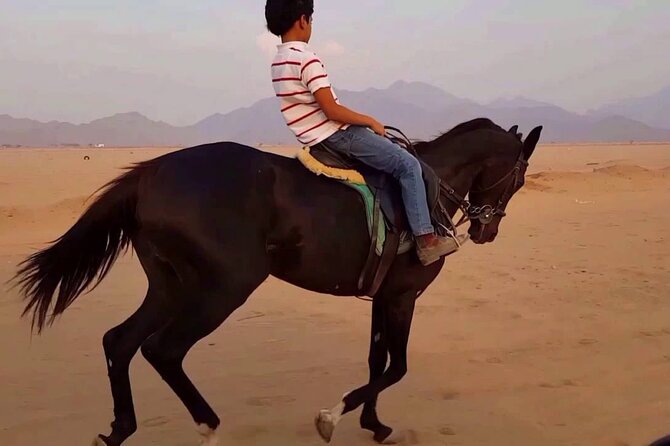 1 Hour Turkish Bath & 1 Hour Horseback Riding - Sharm El Sheikh - The Turkish bath: steam, scrub, and massage