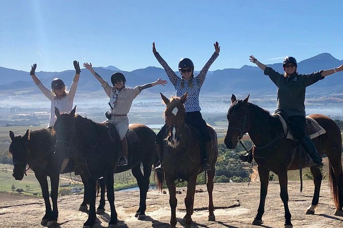 1h – Horse Trail - Riding through the Cape Winelands at a gentle pace