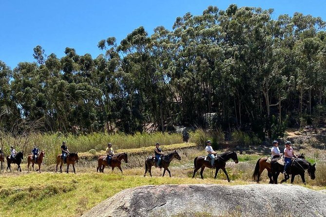 1h – Horse Trail - From tractor trails to open spaces and mountain climbs